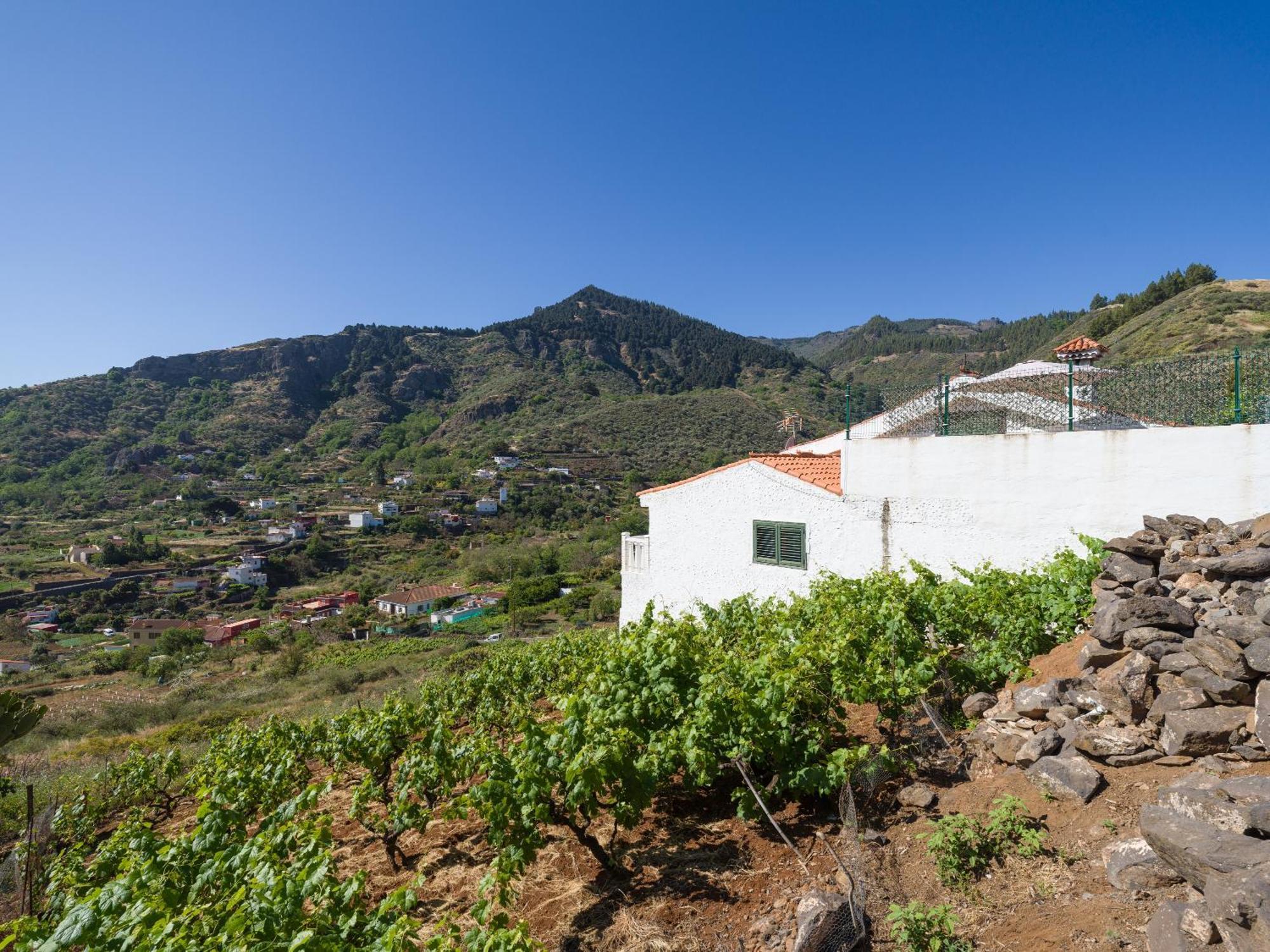 Ca Bellavista